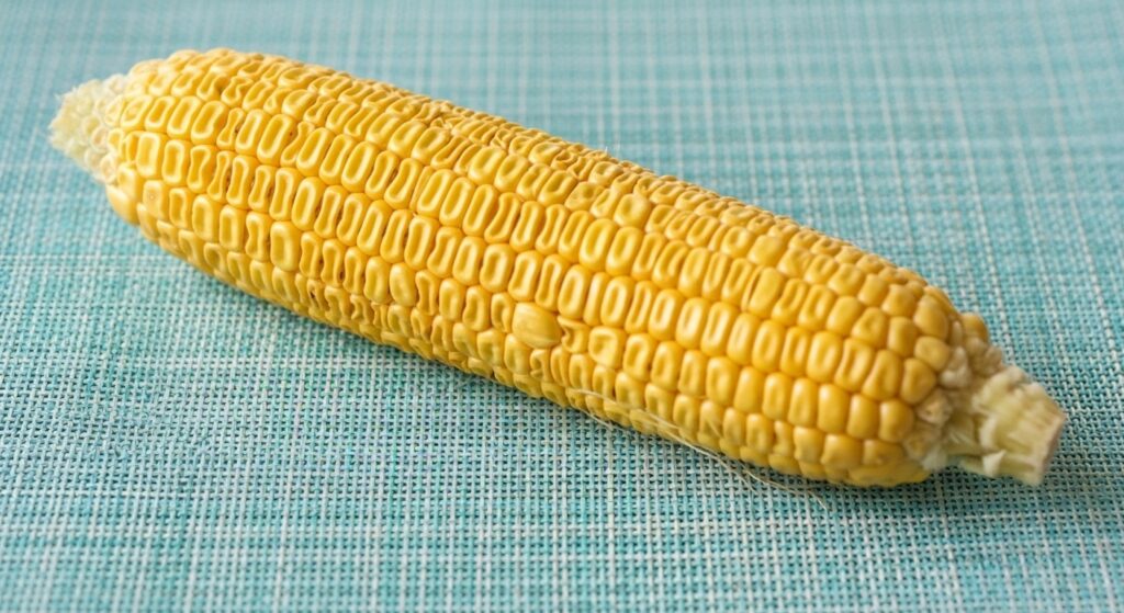 とうもろこし しわしわ 復活