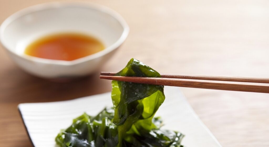 生わかめ 下処理 保存