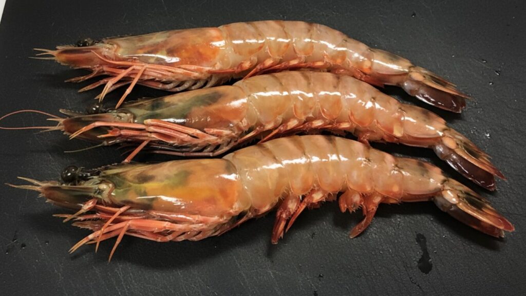 エビの下処理に酒を使う基本の手順