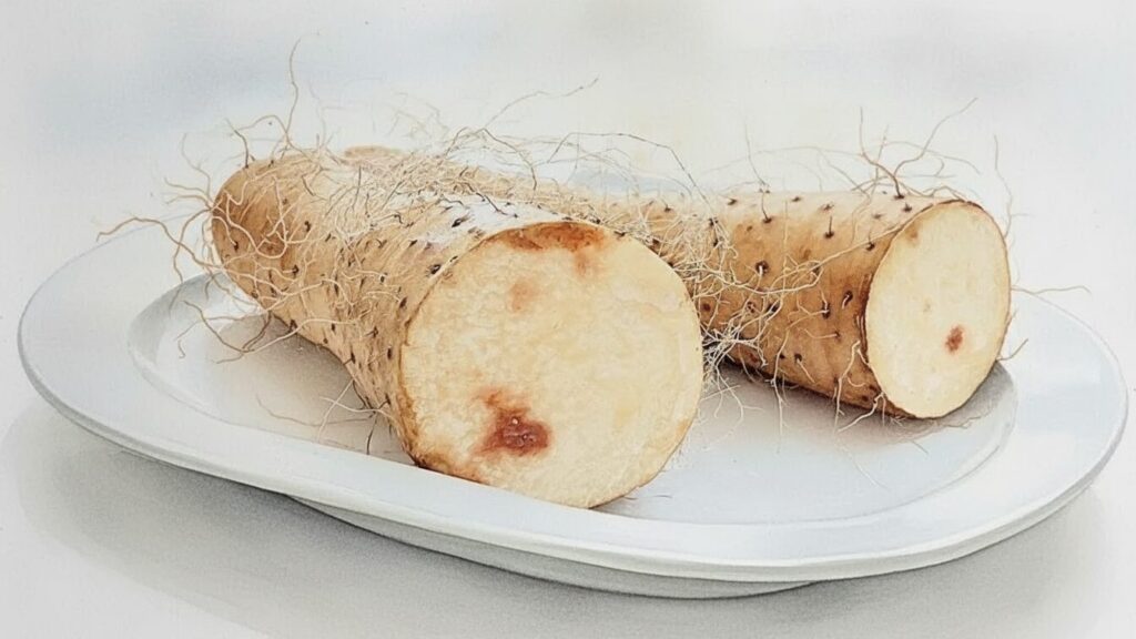 カットした長芋は冷蔵庫で何日持つ？