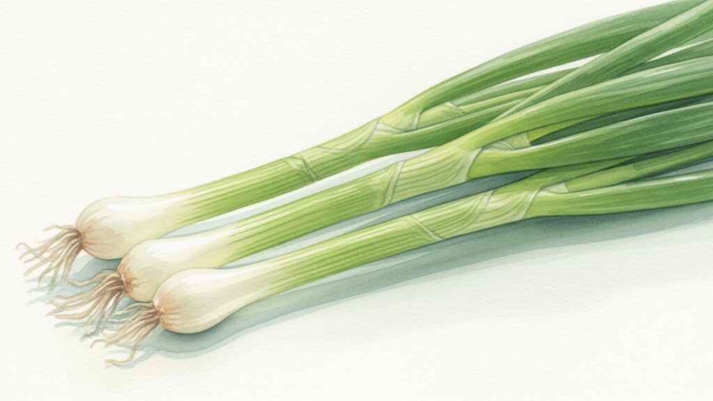 長ネギと小ネギの違いと使い分け