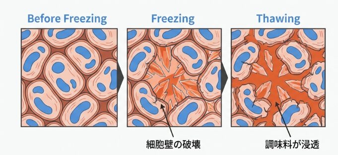 冷凍庫がシェフになる。「細胞破壊」と味の浸透メカニズム