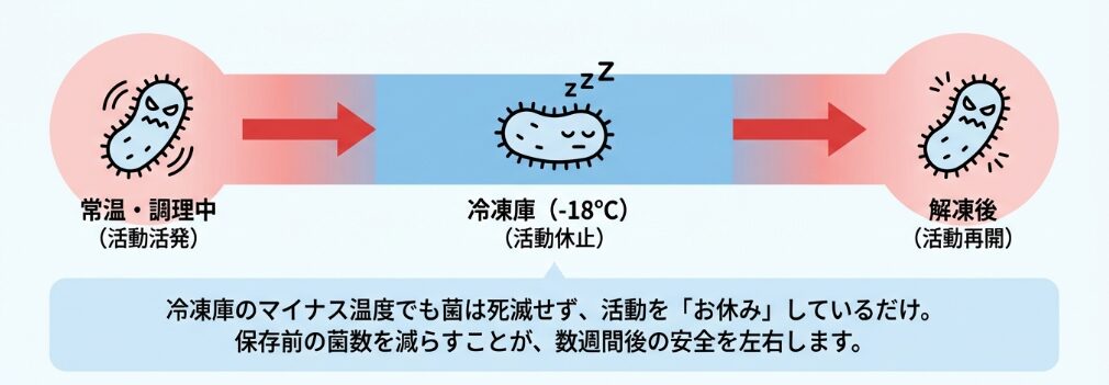 なぜ作り置きは傷む?下ごしらえ段階の菌対策