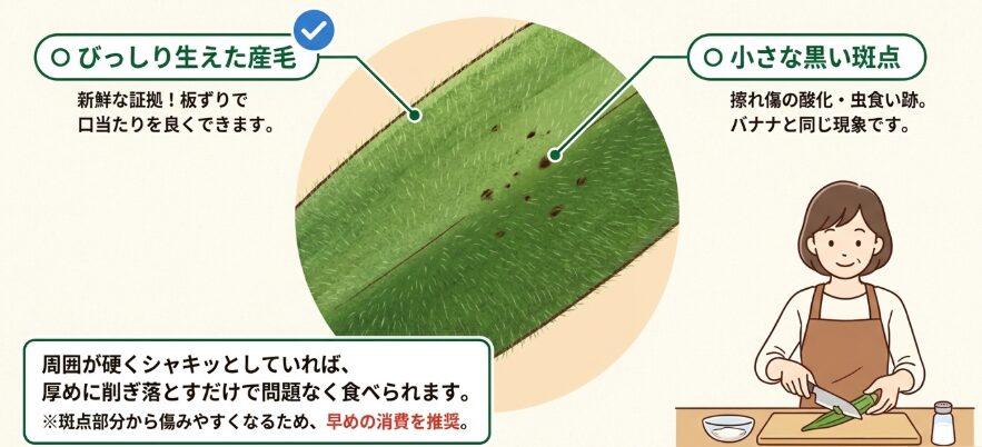 表面の産毛や黒い斑点の正体