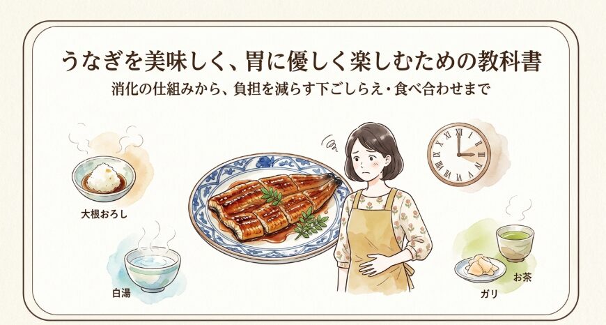 うなぎの消化時間は長い？