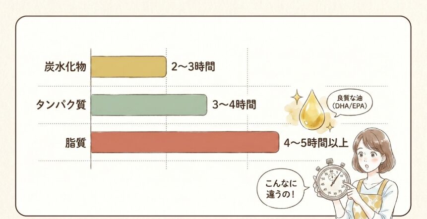 うなぎに含まれる脂質の特徴と消化にかかる時間