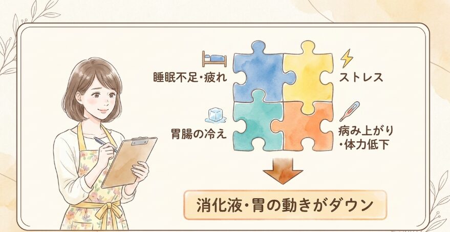 消化不良を起こしやすい体質や体調のチェック