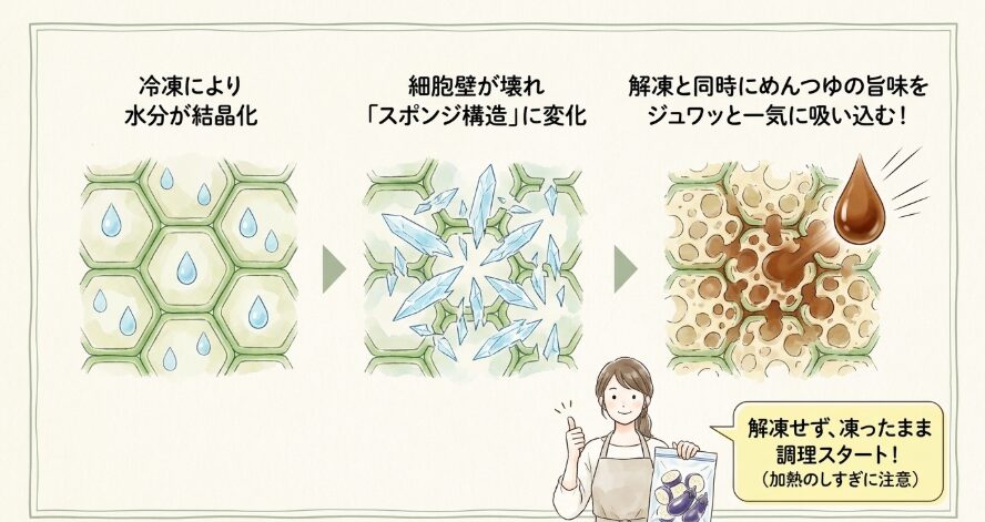 冷凍なすはレンジとめんつゆ調理に相性抜群