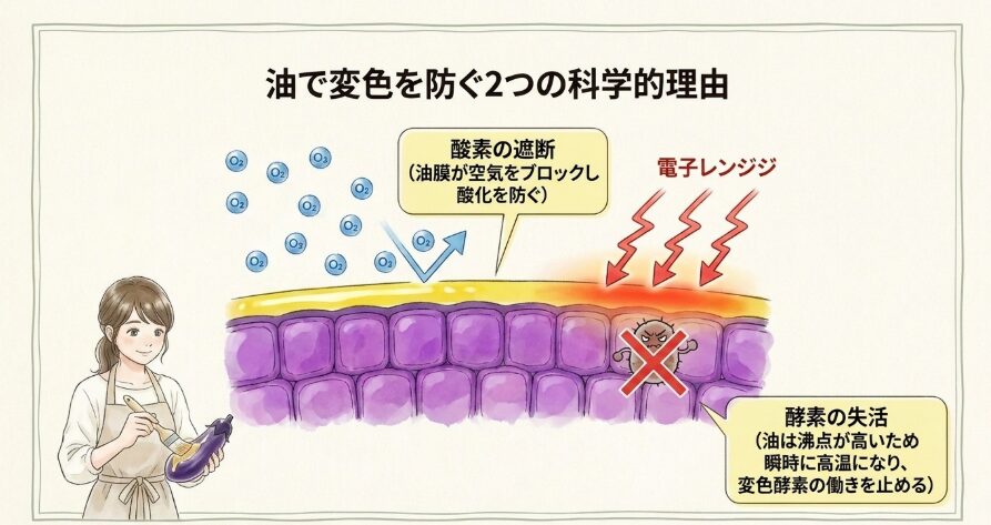油のコーティングでレンジ加熱でも変色させない